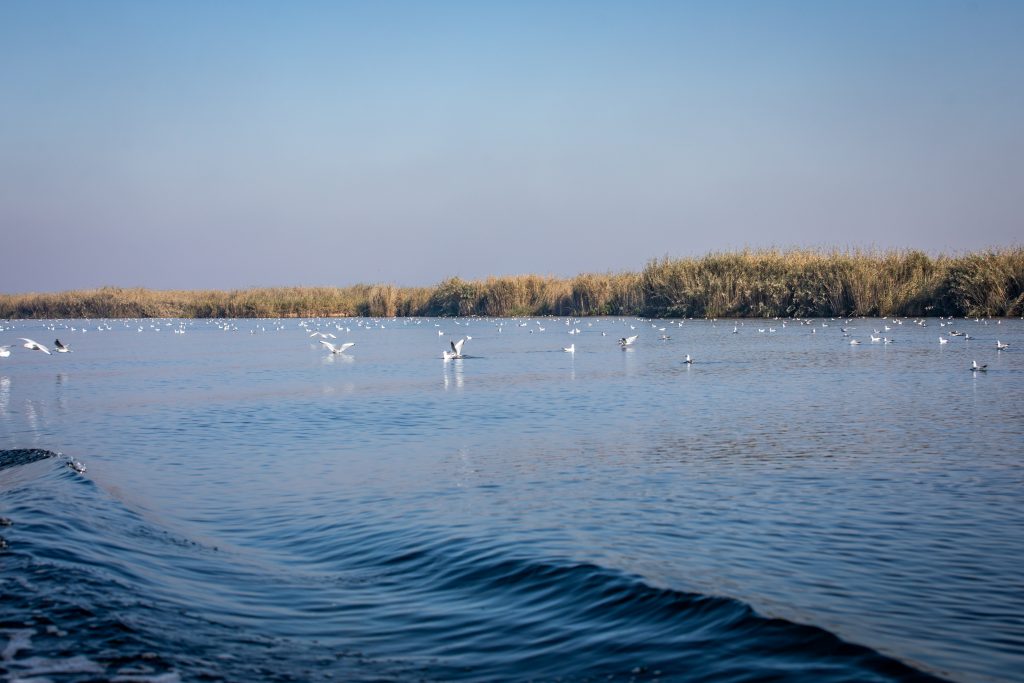 Sohrab Field development and environmental protection in Hour Al-Azim