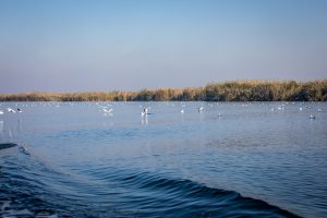 Sohrab Field development and environmental protection in Hour Al-Azim